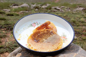 organic honey production in nature