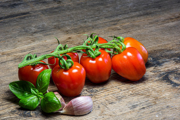 Fresh tomatoes on wood background