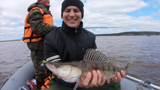 Amateur fisherman shows the fresh caught fish (Zander or Sander lucioperca) and smiles being in the boat