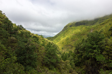 Trekking of 25 fontes and Risco Waterfall in Madeira (Portugal)