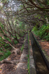 Trekking of 25 fontes and Risco Waterfall in Madeira (Portugal)