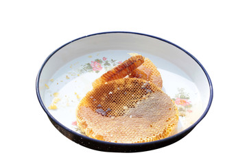 organic honey production in nature