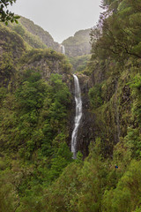 Fototapeta na wymiar Trekking of 25 fontes and Risco Waterfall in Madeira (Portugal)
