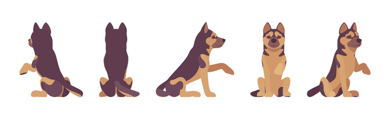 Shepherd dog giving paw and sitting. Working breed, companion for disability assistance, search, rescue, police, military help. Vector flat style cartoon illustration, white background, different view