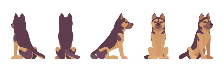 Shepherd dog sitting. Working breed, family pet, companion for disability assistance, search, rescue, police, military help. Vector flat style cartoon illustration, white background, different views