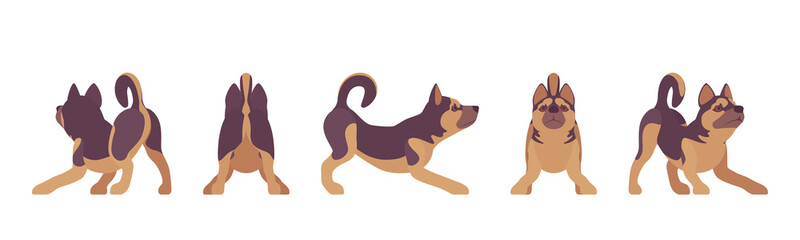 Shepherd dog playing. Working breed, family pet, companion for disability assistance, search, rescue, police, military help. Vector flat style cartoon illustration, white background, different views