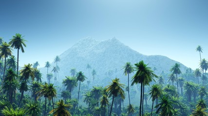 Fototapeta na wymiar Jungle in the mountains in the morning, palm trees in the fog