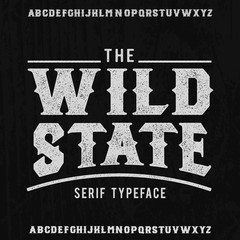 Wild State. Logo and serif font. Original handmade typeface. Stylish font and logo to create prints and posters.