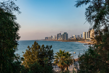 Fototapeta na wymiar Through the trees panoramic view of the coastline of Tel Aviv, Israel