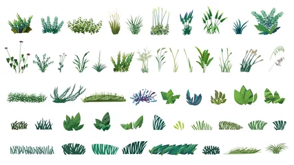 Tuinposter huge collection of stylized isolated green plants for your illustrations © whitehoune