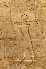 Ancient egypt images and hieroglyphics