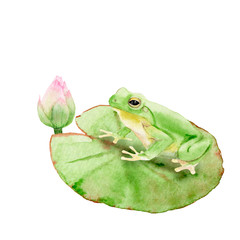 watercolor painting Pond - composition with reeds, frog, lily