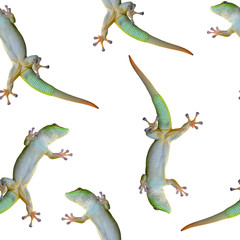 Green gecko lizard on glass on a white background. Seamless pattern.