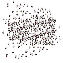 a large group of people is walking in one direction - top view - isolated on white background