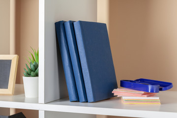 File folders, standing on the shelves at office