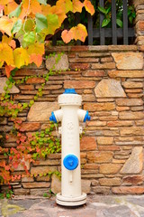 Fototapeta na wymiar Blue and White fire hydrant. Durnstein;Vienna;Austria