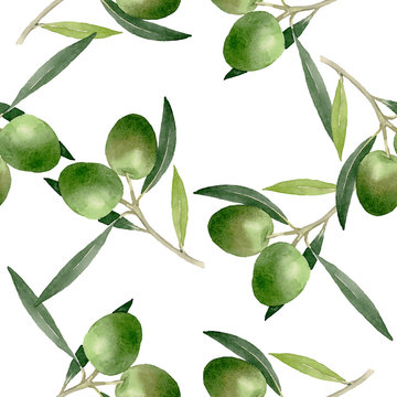 Olive branch with black and green fruit. Watercolor background illustration set. Seamless background pattern. © LIGHTFIELD STUDIOS
