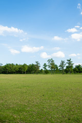 Park with green grass field , Beautiful park scene background