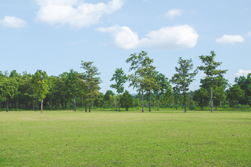 Park with green grass field , Beautiful park scene background