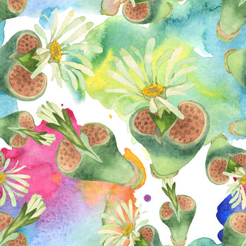 Succulent floral botanical flower. Watercolor background illustration set. Seamless background pattern.
