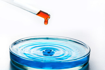 Red pipette dropping liquid into petri dish with blue liquid. Check the water for cleanliness. Concept chemical experiments and education.