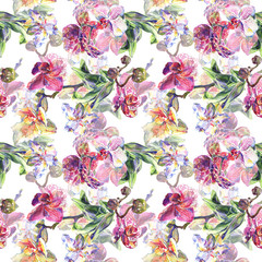 Orchid floral botanical flowers. Watercolor background illustration set. Seamless background pattern. © LIGHTFIELD STUDIOS