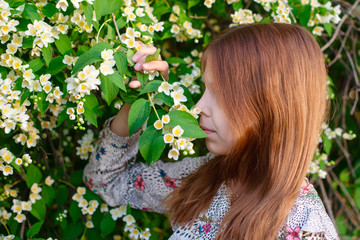 Naklejka premium portrait of a girl in bush of jasmine