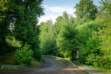 Sharp turn serpentine asphalt road passing through forest. Beautiful moment on the road. Summer sunny day after a rainstorm. Forest road in the Moscow region