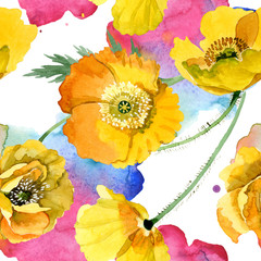 Fototapety  Żółty Mak kwiatowy kwiaty botaniczne. Zestaw ilustracji tle akwarela. Bezszwowe tło wzór.