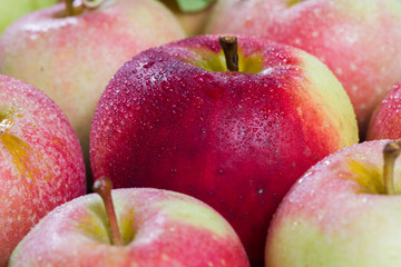 Raw Red Fuji Apples in a Basket. Autumn apples backgound