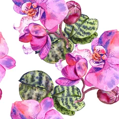 Cercles muraux Orchidee Fleur botanique florale d& 39 orchidée. Ensemble d& 39 illustrations de fond aquarelle. Motif de fond sans couture.