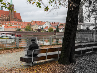 Old Man on the Bench Wrocław