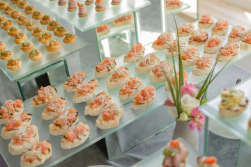 Assorted Pate, Meat, Ham, Fish, Fruit and Vegetable Cheese Snacks Prepared for Party or Birthday Wedding Guests