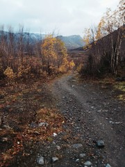 Fototapeta premium autumn in khibiny mountains. Russia. kirovsk 