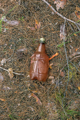 Brown plastic bottle on the ground in a pine forest.