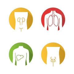 Healthy human organs flat design long shadow glyph icons set. Kidney and liver in good health. Functioning lungs. Internal body parts in good shape. Vector silhouette illustration