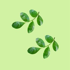 Obraz premium branch with green leaves isolated on white background