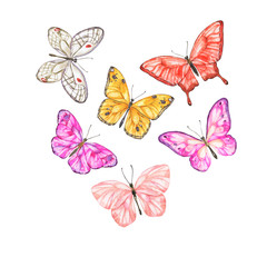 Fototapeta na wymiar Big butterfly collection isolated on white background. Hand drawn watercolor illustration.