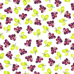 Fototapeta na wymiar Seamless pattern with fresh dark and green grapes on white background. Hand drawn watercolor illustration.
