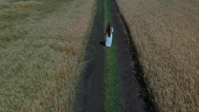 Young lady between 30 and 35 years old is walking in wheat field. Aerial shooting