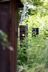 An old abandoned gas station overgrown with tall green grass.