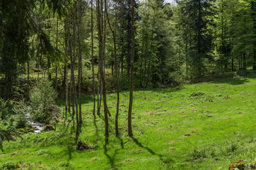 Fototapeta premium Neuviller-la-Roche 42