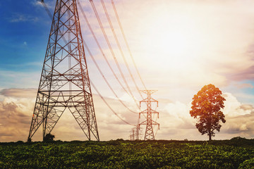 high voltage power supply and power line with sunrise and tree background