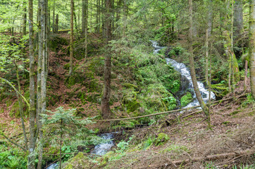 Neuviller-la-Roche 39