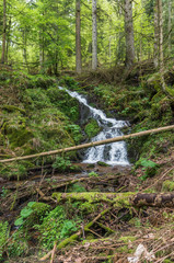 Fototapeta premium Neuviller-la-Roche 37