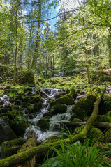 Obraz premium Neuviller-la-Roche 19