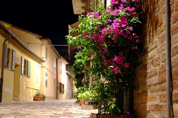 house with flowers in a medieval town in Italy, Santarcangelo di Romagna 
