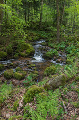 Obraz premium Neuviller-la-Roche 01