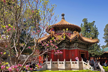 People in front of a colorful building inside the Palace Museum, known also as the Forbidden City in Beijing, China, surrounded by green vegetation.