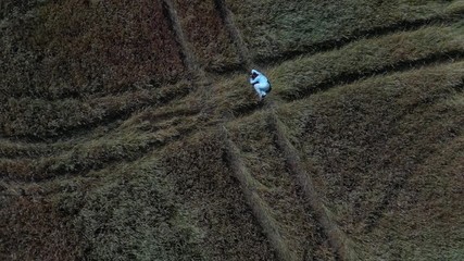 Young lady between 30 and 35 years old lying in the field. Aerial shooting